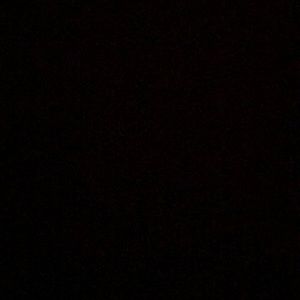 Meet your Posher, Precious